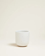 ALMA BECHER GUINCHO MATTWEISS